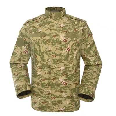 Kuwait camouflage military uniform